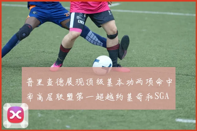 普里查德展现顶级基本功两项命中率高居联盟第一超越约基奇和SGA