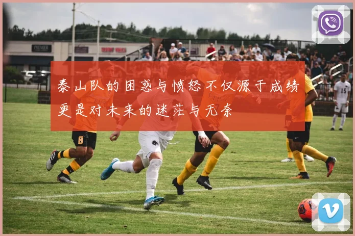 泰山队的困惑与愤怒不仅源于成绩更是对未来的迷茫与无奈